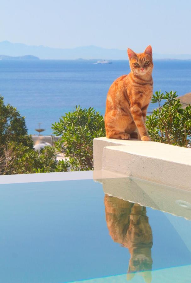 Villa With View Of Agios Ioannis And Pool With Jacuzzi Ngoại thất bức ảnh